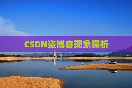 CSDN盗博客现象探析
